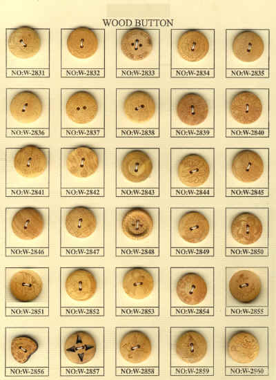 dara woods.jpg (314989 bytes)